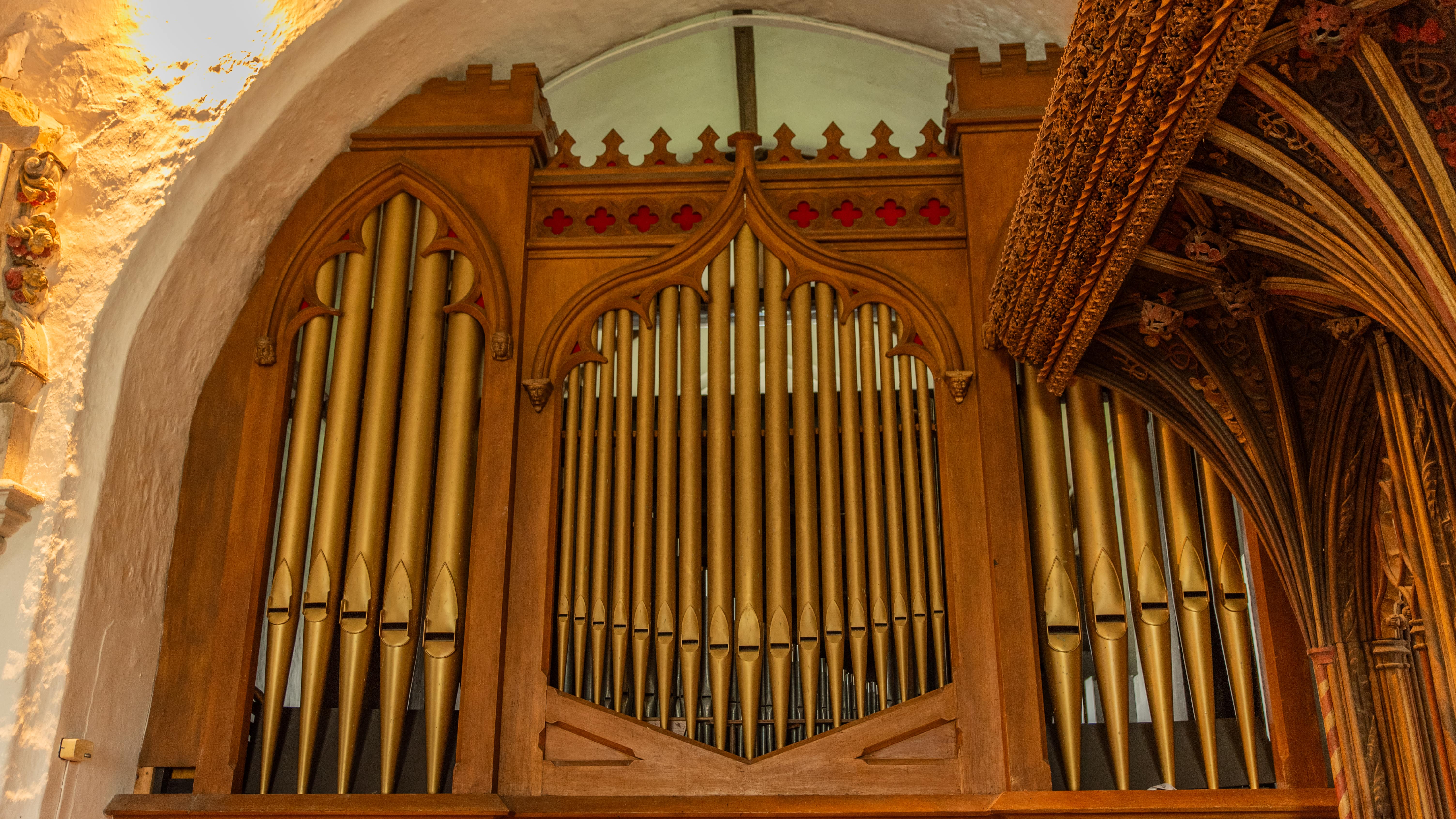 Organ